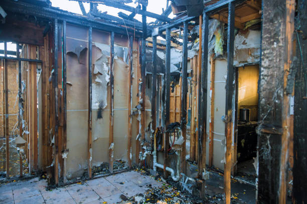Professional Fire Damage Restoration technician working in Federal Way, WA